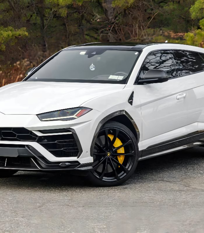 Untitled Project (62)